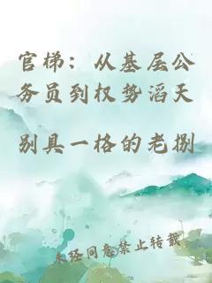 官梯：從基層公務員到權(quán)勢滔天